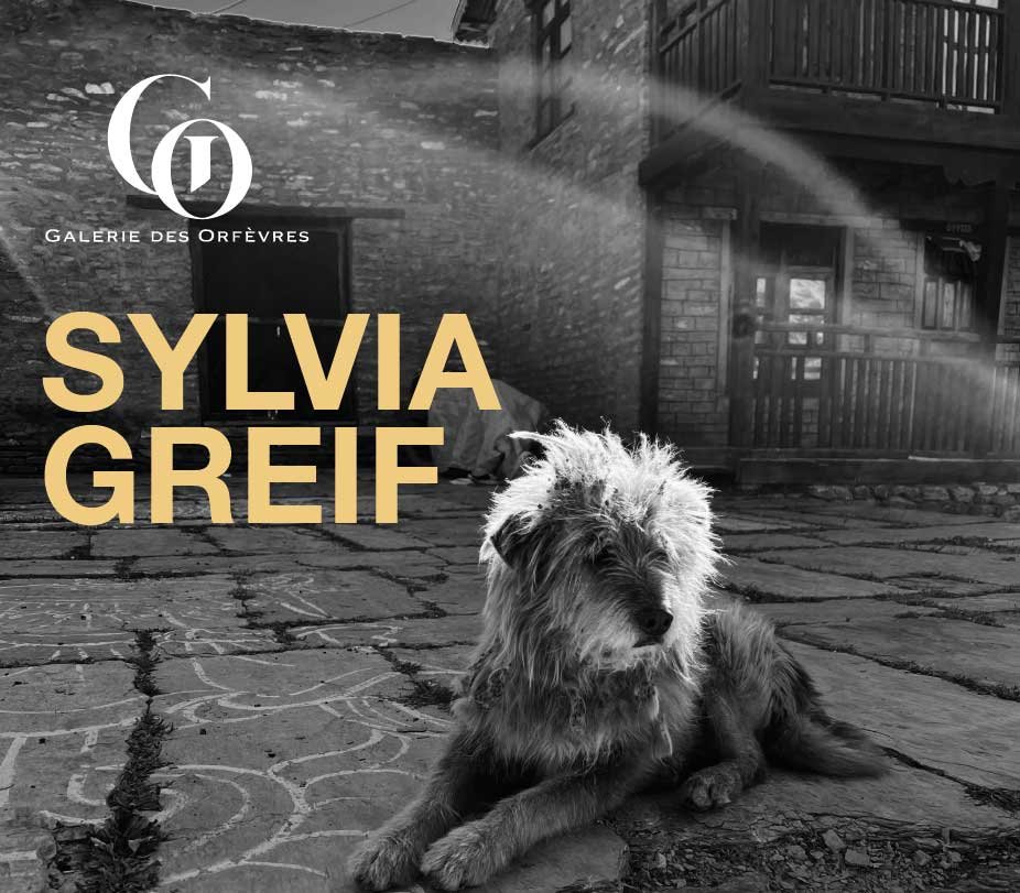 exposition Sylvia Greif à Paris